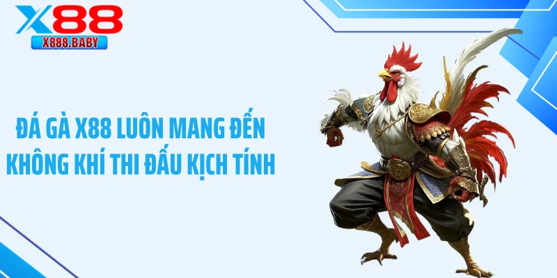 Đá gà X88 luôn mang đến không khí thi đấu kịch tính