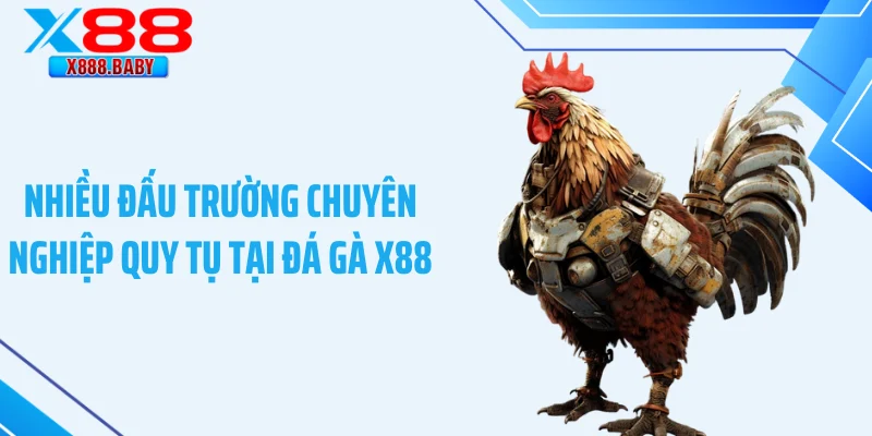 Nhiều đấu trường chuyên nghiệp quy tụ tại đá gà X88