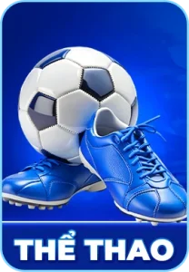 hình thể thao x88